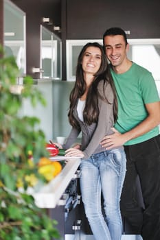 happy young couple have fun in  modern kitchen indoor  while preparing fresh fruits and vegetables food salad