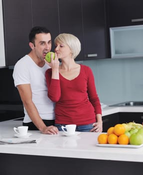 happy young couple have fun in  modern kitchen indoor  while preparing fresh fruits and vegetables food salad