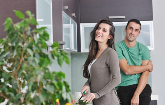 happy young couple have fun in  modern kitchen indoor  while preparing fresh fruits and vegetables food salad