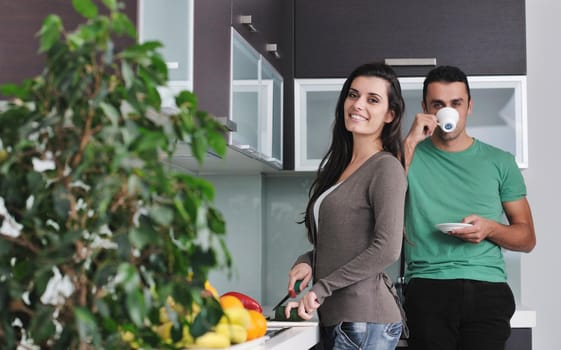 happy young couple have fun in  modern kitchen indoor  while preparing fresh fruits and vegetables food salad