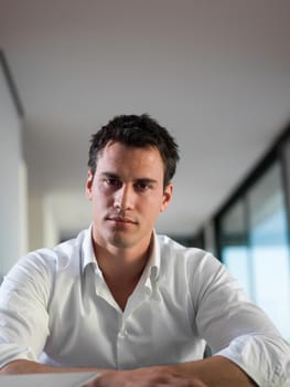 portrait of young happy business man working on laptop computer at home