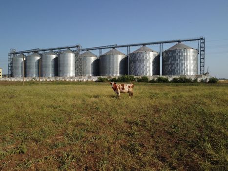 Grain elevator. Metal grain elevator in agricultural zone. Agriculture storage for harvest. Grain elevators on green nature background. Exterior of agricultural factory