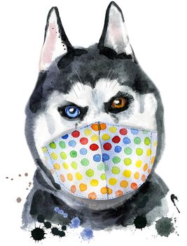 Cute Dog in protective medical mask. Dog T-shirt graphics. watercolor husky