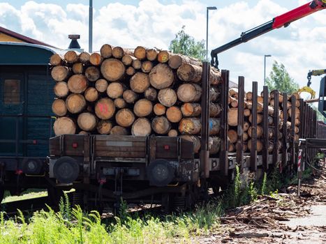 Crane loading cut logs on a railcar.  Transport of spruce logs