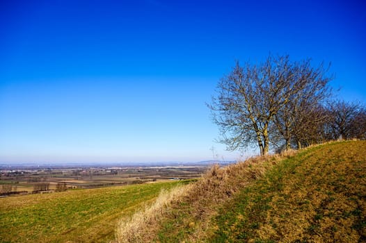 View of a small town from a hill with gnarled trees and agricultural land in early spring.