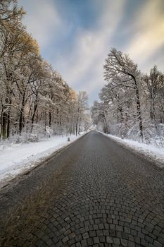 A street without vehicles and people with freshly fallen snow.