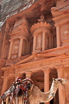 view of the petra treasury with camel in foreground