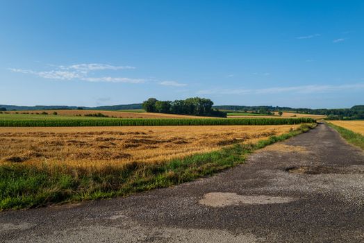 The first grain fields have already been harvested. Only a few maize fields are yet to be harvested.