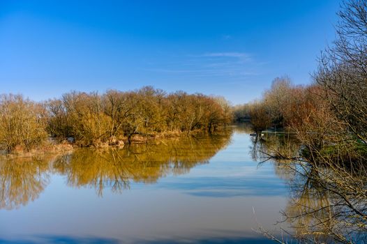 A calm dark river with trees on the bank.