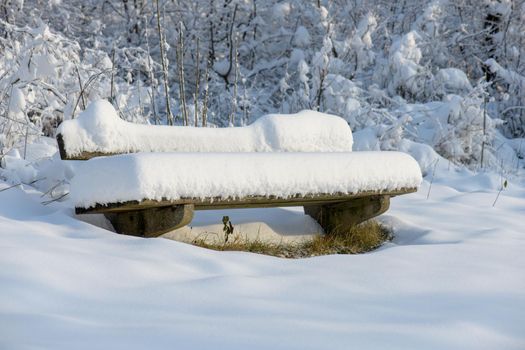 One with a thick blanket of snow vovered park bench at the edge of the forest.