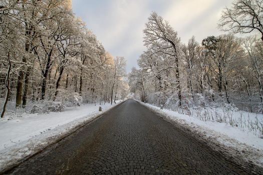 A street without vehicles and people with freshly fallen snow.