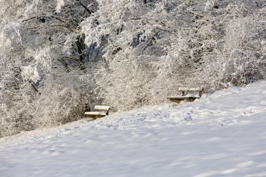 Two park benches at the edge of the forest with a thick blanket of snow.