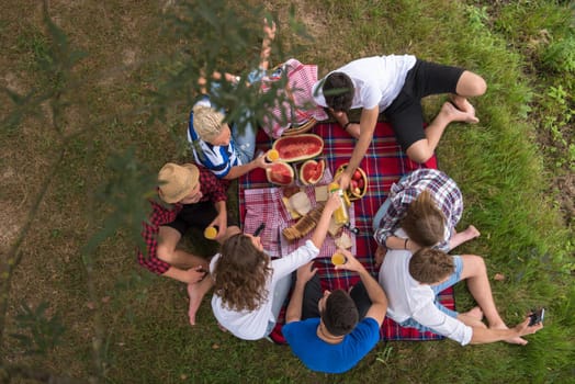 group of young friends enjoying picnic time drink and food in beautiful nature on the river bank top view