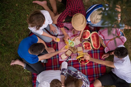 group of young friends enjoying picnic time drink and food in beautiful nature on the river bank top view