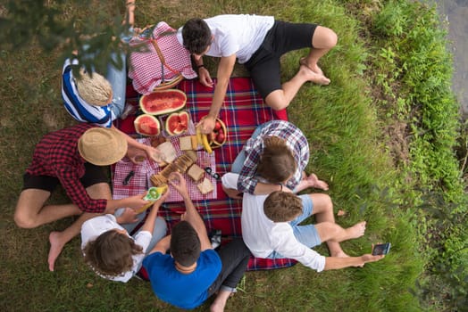 group of young friends enjoying picnic time drink and food in beautiful nature on the river bank top view