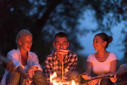 a group of happy young friends relaxing and enjoying  summer evening around campfire on the river bank