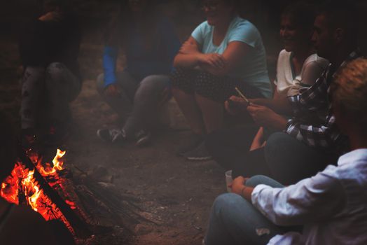 a group of happy young friends relaxing and enjoying  summer evening around campfire on the river bank