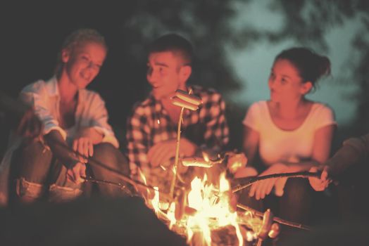 a group of happy young friends relaxing and enjoying  summer evening around campfire on the river bank