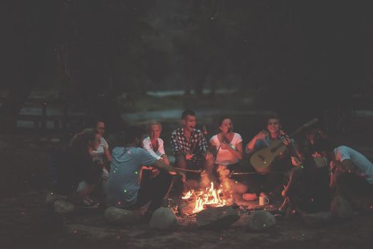 a group of happy young friends relaxing and enjoying  summer evening around campfire on the river bank