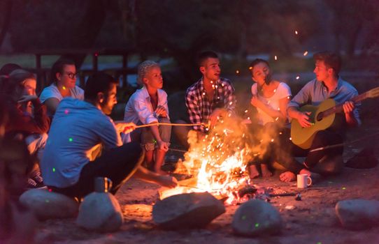 a group of happy young friends relaxing and enjoying  summer evening around campfire on the river bank