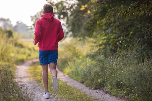 young man enjoying in a healthy lifestyle while jogging along a country road, exercise and fitness concept