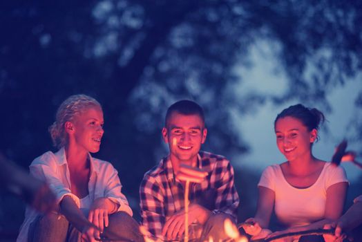 a group of happy young friends relaxing and enjoying  summer evening around campfire on the river bank