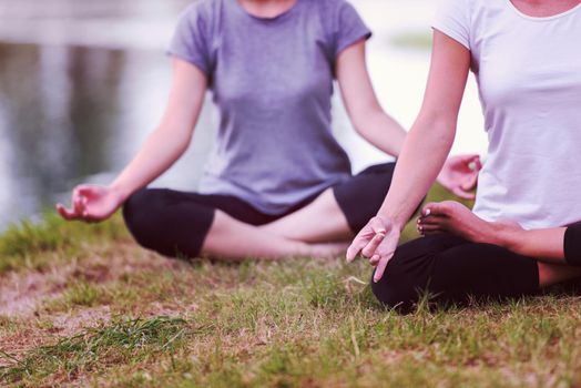 group of young healthy women relaxing while meditating and doing yoga exercise in the beautiful nature on the bank of the river