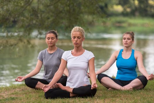 group of young healthy women relaxing while meditating and doing yoga exercise in the beautiful nature on the bank of the river