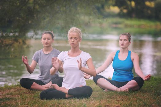 group of young healthy women relaxing while meditating and doing yoga exercise in the beautiful nature on the bank of the river