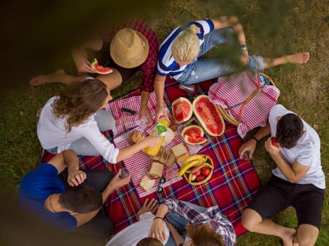 group of young friends enjoying picnic time drink and food in beautiful nature on the river bank top view