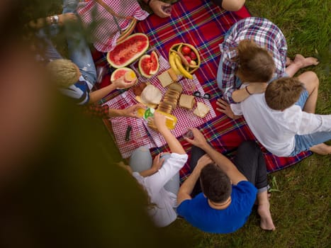 group of young friends enjoying picnic time drink and food in beautiful nature on the river bank top view