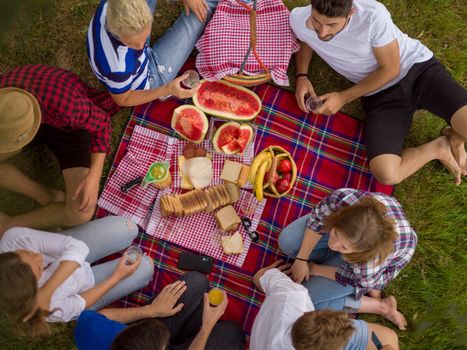 group of young friends enjoying picnic time drink and food in beautiful nature on the river bank top view