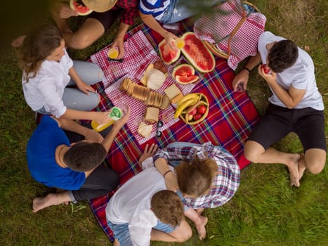 group of young friends enjoying picnic time drink and food in beautiful nature on the river bank top view