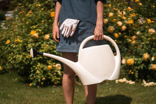 A gardener with an apron and work gloves holds a watering can for flowers, a young girl is engaged in floristry, stands against the background of a lush bush with yellow hybrid tea roses.
