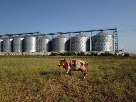 Grain elevator. Metal grain elevator in agricultural zone. Agriculture storage for harvest. Grain elevators on green nature background. Exterior of agricultural factory