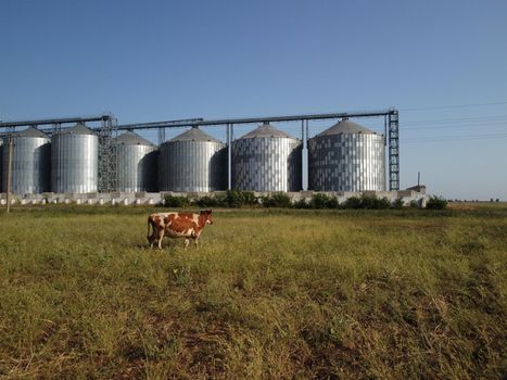 Grain elevator. Metal grain elevator in agricultural zone. Agriculture storage for harvest. Grain elevators on green nature background. Exterior of agricultural factory