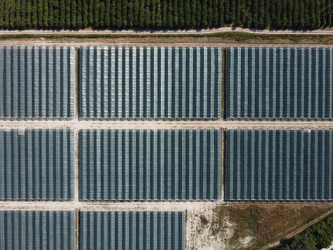 Aerial drone view of massive greenhouse for growing vegetables. Flying over large industrial greenhouses with transparent roof in evening.
