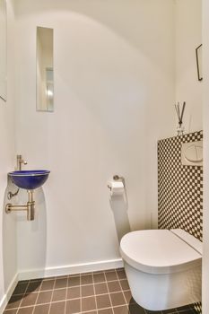 Design of elegant restroom in luxury house