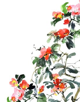 Watercolor and ink illustration of flowers - blossom plant with pink flowers and buds. Sumi-e art.