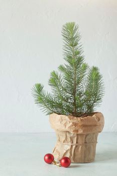 mini Christmas tree on the white wall background, decorative red balls