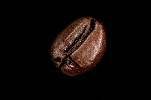 One single dark roasted coffee bean on a black colored surface.