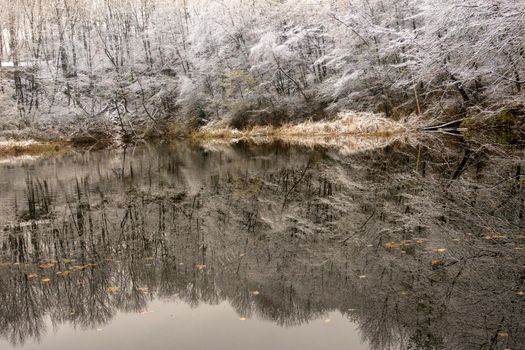 A small lake with snow covered surrounding trees and a very smooth water surface.