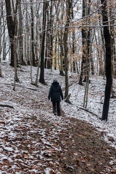 A woman walks lonely through a lightly snow-covered forest.