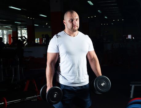 Male bodybuilder engaged with dumbbells in the gym. Healthy lifestyle
