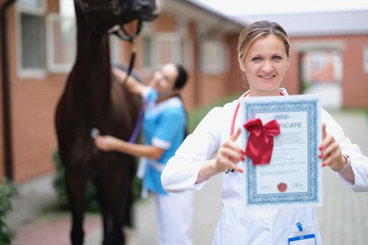 Veterinarian shows the certificate of the horse, close-up, blurry. Expert opinion of a veterinarian. Horse breeding, sports