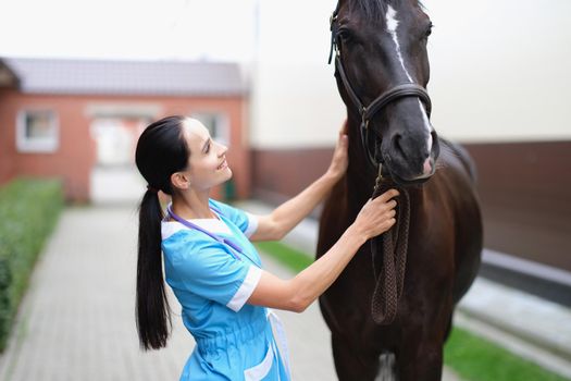 Woman veterinarian looks at the horse, close-up, blurry. Initial visual examination of the horse. Vet clinic