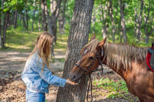 Beautiful women give a carrot to her horse