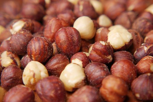 hazelnuts in a container on black background