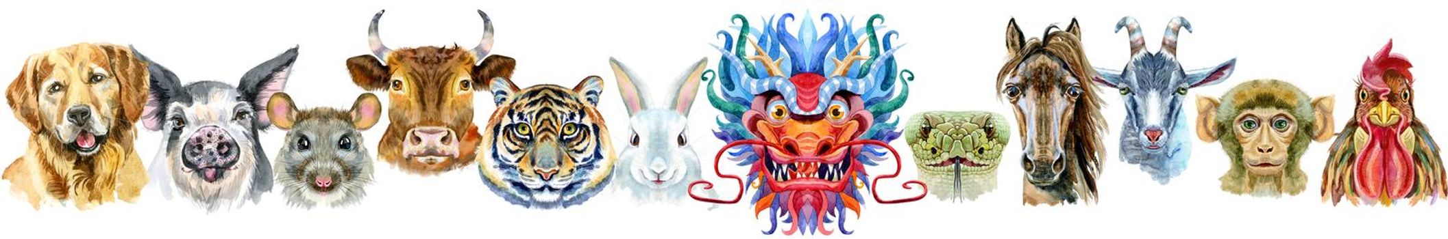 Colorful astrology set with drawings of twelve chinese zodiac animals isolated on white. Watercolor holiday collection of new year calendar and horoscope symbols.