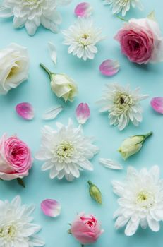 Flowers composition. Pink and white flowers on pastel blue background.